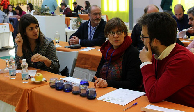 championnat degustation huile d'olive 2016