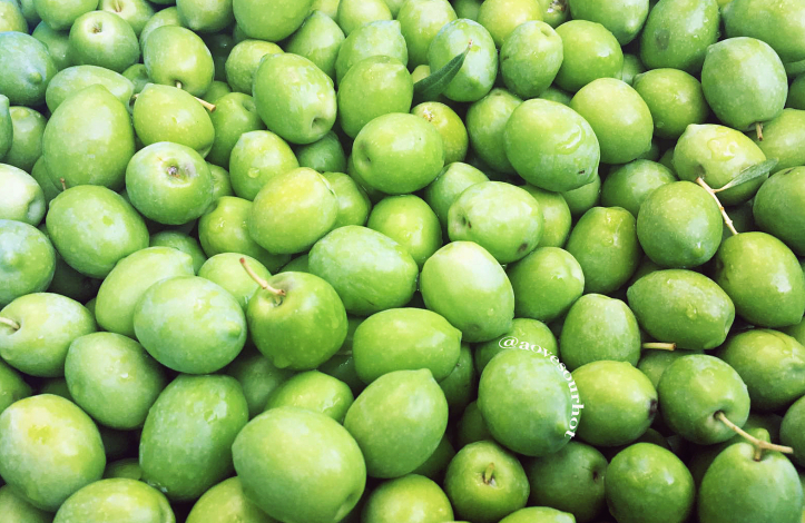 fruité huile d'olive