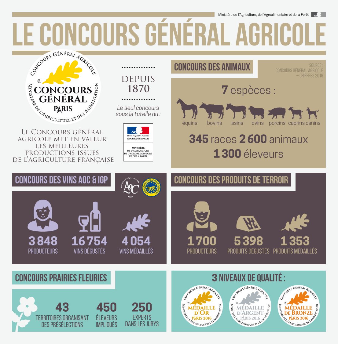 infographie le concours agricole en chiffres