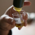 Dégustation d'huile d'olive