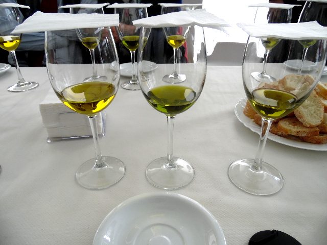 degustation d'huiles d'olive