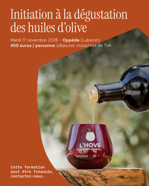 [IMAGE : visuel « Initiation à la dégustation »]
