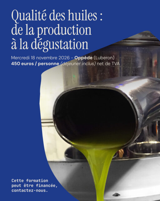  [IMAGE : visuel « Qualité des huiles : de la production à la dégustation »]
