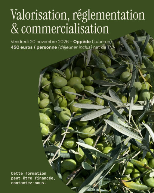 [IMAGE : visuel « Valorisation, réglementation & commercialisation »]